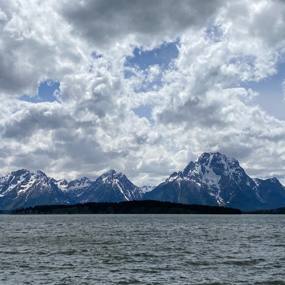 Meet your Posh Ambassador. - Picture 7 of 9